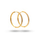 Jantier: Gold-plated Stainless Steel earrings with zirconium crystals